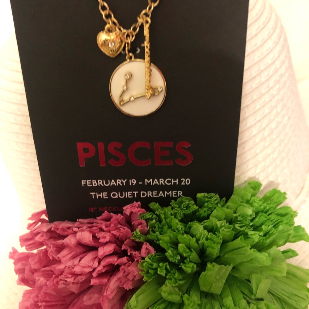 NWT 🐠Pisces🐠 16” Necklace